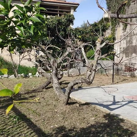 Villa Elisabetta